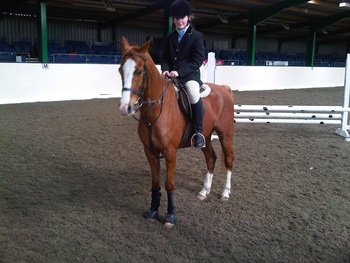 Maddy Carpenter Wins the 70cms Club Show at Brook Farm Essex